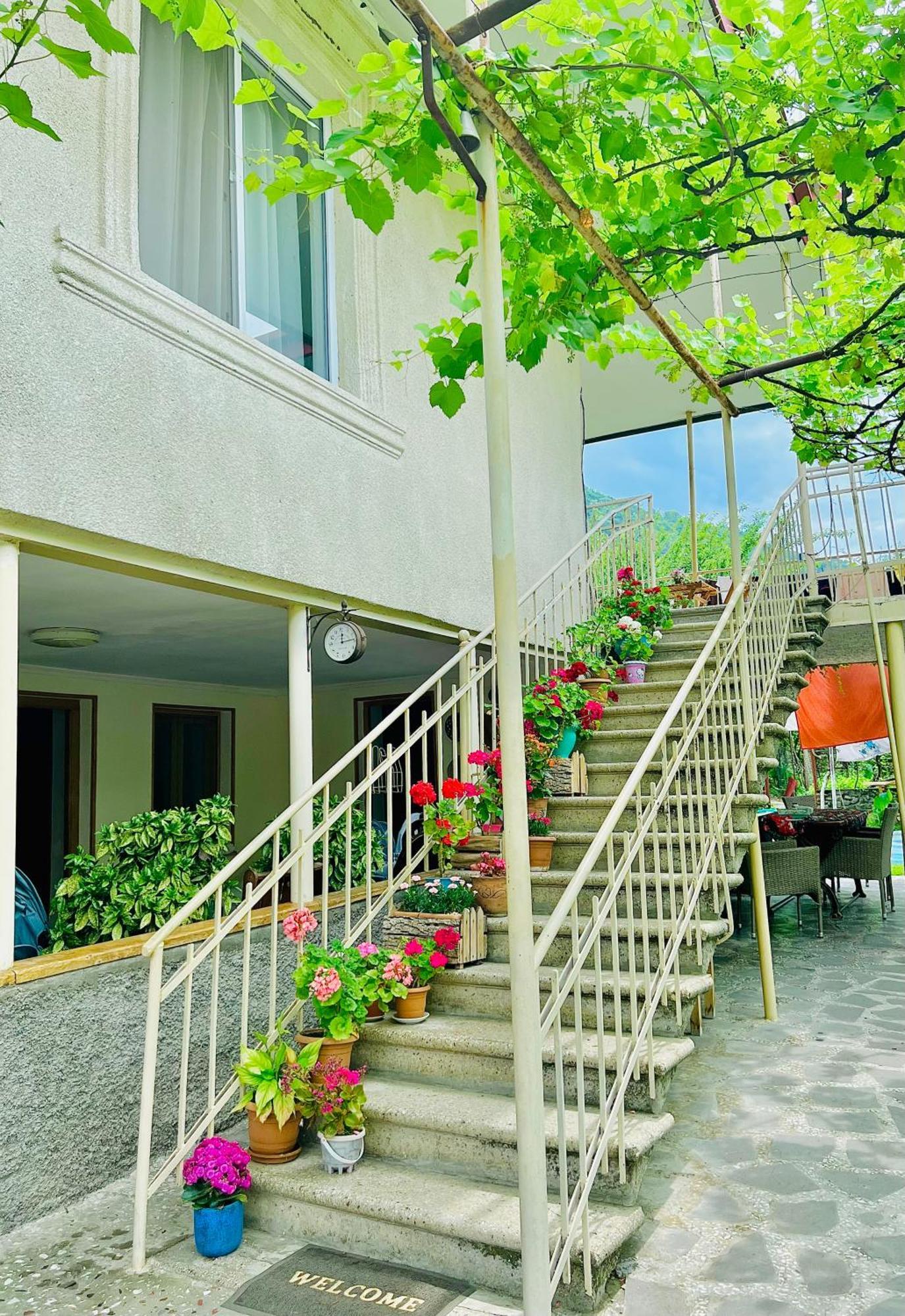 Home Inn-Guesthouse Lagodekhi Exterior photo